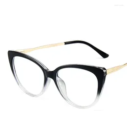 Sunglasses Frames 2024 Color Contrast Anti Blue Light Glasses Metal Spring Leg Flat Lens Street Shooting Retro Cat's Eye Sexy