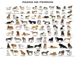 Animal Poster The Dog Poster Home Decor Wallpaper Art Posters Print Popaper 16 24 36 47 inches4273379