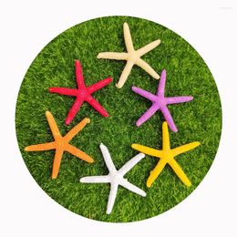 Decorative Flowers Resin Cute Mini Starfish Flatback Cabochon Scrapbook Kawaii Ocean Animals Figurine DIY Embellishments Accessories