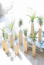Garden Decorations Iron Air Plant Stand Container Tillandsia Holder Tabletop Pot Display Rack Vase with Wooden Base XB12543684