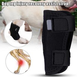 Dog Apparel Short Leg Bandage Recovery Pet Knee Pad Protectors Protect Wounds Fixed Protective Cover