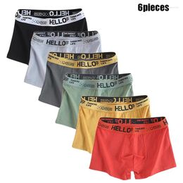 Underpants 6 Pieces Men Underwear Cotton Male Boxer Solid Panties Shorts Men's Breathable Intimate Man Boxers Plus Size