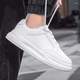 Casual Shoes Damyuan For Men Comfortable Outdoor Wild Sneakers Fashion Italian Footwear Women Vulcanized