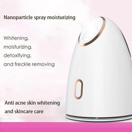 Home Portable Spray Face Steamer Moisturising Face Mister. Moisturising Small Spray Machine. Z1 240517