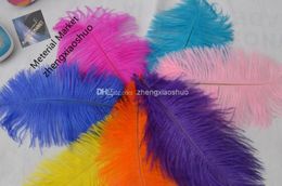 whole 100pcslot 1012inch White black red light pink pink royal blue turquoise purple Ostrich Feather for Wedding centerp4950422