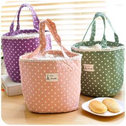 Storage Bags Fashion Dot Design Bag Portable Insulated Lunch Thermal Food Organiser -35
