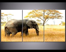 3 Panel African Grassland Elephant Wall Art Canvas Painting For Living Room Home Decor Poster Print Picture Cuadros Decorativos8261362