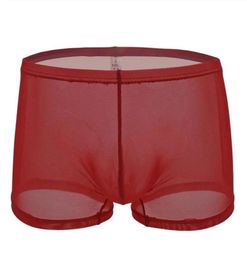 Sexy See Through Boxers Underwear Men039s Mesh Thin Boxer Shorts Solid Transparent Breathable Male Underpants Panties Cueca5118770