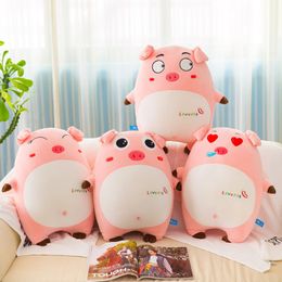 New Pink Pig Plush Toy Girl Heart Pillow Soft Down Cotton Large Doll Grab Machine Doll Wholesale