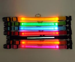Chargable Nylon LED Pet Dog CollarNight Safety Flashing Glow Dog LeashDogs Luminous Fluorescent Collars Pet Supplies6000629