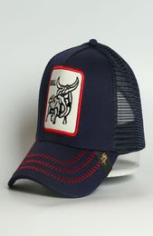 Custome 5 Panel Embroidery Patch Sports Caps Bull Cotton Animal Logo Bull Mesh Trucker Hat Cap8309407