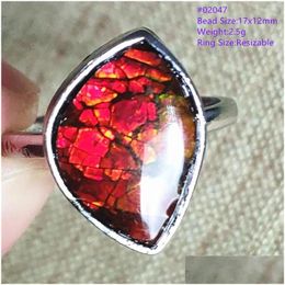Cluster Rings Natural Red Ammonite Ammolite Gemstone Adjustable Ring 925 Sterling Sier Fashion Oval Drop Delivery Jewelry Dhbj6