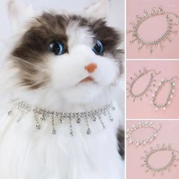 Dog Apparel 1PCS Pearl Cat Collar Holloween Adjustable Cats Necklace Rhinestone For Small Medium Kitten Po Pet Accessories