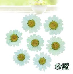 120pcs Pressed Press Dried Daisy Dry Flower Plants For Epoxy Resin Pendant Necklace Jewelry Making Craft DIY Accessories 2103172099148