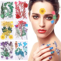 Decorative Flowers DIY Material Candle Making For Nail Art Resin Mould Filling Natural Dried Floral Pressed Real Plant Mixed Leaves