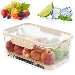 Storage Bottles Refrigerator Fresh-Keeping Box Leak Proof BPA-Free Fridge Organisers For Keeping Produce Fresh Longer