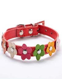 Sweet Flower Studded Puppy Pet Dog Cat Collar Leather Buckle Neck Strap Collar LX0143 Drop 7662800