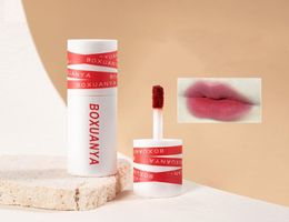 Lip Gloss Women Makeup Matte Velvet Lipstick Waterproof Long Lasting Red Lip Tint Glaze Cosmetics 27 Colors7991159