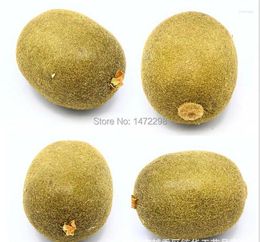 Decorative Flowers 4pcs Artificial Kiwi Fruit Faux Fake Food House Decor Sketching Tool Flower Ornament