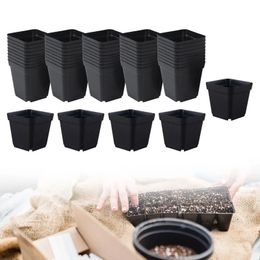 50 piece nursery seed pot container square Pp black seed starting pot for office desk 240509