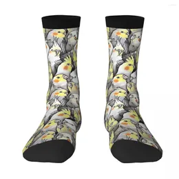 Men's Socks Cockatiels Galore Men 5% Spandex Novelty Winter Gift Idea