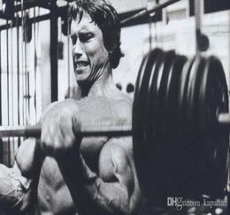 Arnold Schwarzenegger Poster Weight lifting Bodybuilding Workout Sport Art Posters Print Popaper 16 24 36 47 inches4331898