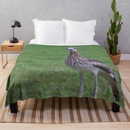 Blankets Stone Curlew Throw Blanket Soft Plaid Decorative Sofas Luxury Bed Covers