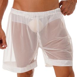Mens Lingerie Mesh Sheer Loose Fit Boxer Shorts Male Underwear Transparent Swimming Trunks Summer Thin Beachwear 240509