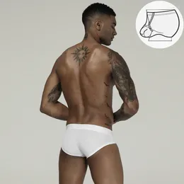 Underpants Male Underwear Sexy Men Briefs Cotton Breathable Panties Cueca Tanga Comfortable Bikini