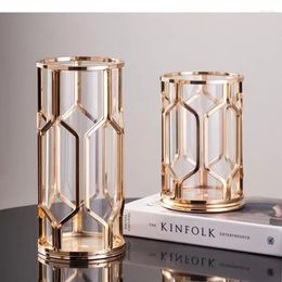 Vases Glass Vase Decoration Metal Flower Hydroponics Frame Hollow Arrangement Home Creative Golden Bottle