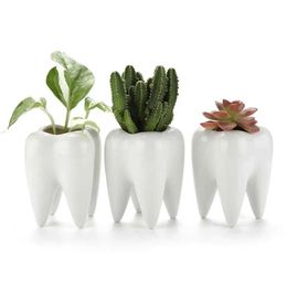 Vases Nordic Instagram style succulent potted plant pure white ceramic pen holder home decoration tooth shaped flower pot H240518
