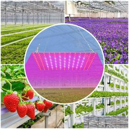 Grow Lights 1000W Fl Spectrum Led Plants Light 220V Flower Growth Lighting 1500W Phytolamps For Seedlings Fito Lamps Hydroponic Tent Dhpqc