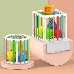 Jogo de classificação de bloco de formato colorido Baby Montessori Toy Aprendizando Childrens Education Game 6-12 meses Aninhados Toys empilhados 240517