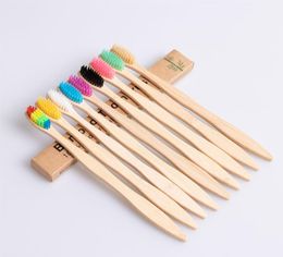 Natural Bamboo Handle Toothbrush Rainbow Colourful Soft Bristles brush 10 Colours with Box Package top quality DH87876789601