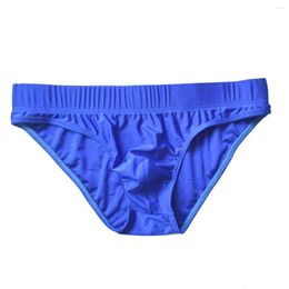 Underpants 2024 Brand Howe Ray Men's Sexy Nylon Solid Briefs Male Breathable Quick-dry Low Waist Gay Underwear