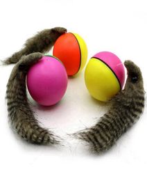 Cat Toys Colorful Ball With Feather Attachment Electric Teaser Rolling Toy Kitten Scratch Resistant Pet Interactive Exer5674198