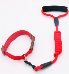 Dog Collar And Traction Rope Nylon Dog Collars Pet Walking Leash For Medium Large Dogs Puppy 7Colors 4 sizes 12m length7576596