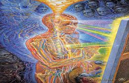 poster 32x24quot 17x13quot Trippy Alex Grey Wall Poster Print Home Decor Wall Stickers poster Decal0543967296