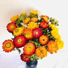 Decorative Flowers Fresh Naturally Dry Artificial Daisy Bouquet Mix And Colours Party Decorations Flower Wall Year Gift Headdress