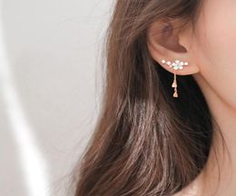 Dangle Chandelier Korean Design Fashion Jewelry Exquisite Copper Inlay Color Crystal Flower Leaf Garland Women Earrings Gift For2562938