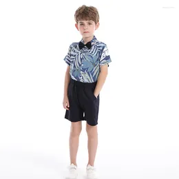 Clothing Sets 2024 Print Boy Casual Kids Clothes Children Short Sleeve Turn-down Collar Summer Beach Outdoor Polyester Set