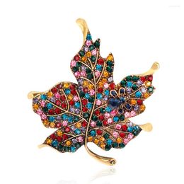 Brooches Fashion Shining Rhinestone Winter Jewelry Beautiful Wedding Pin Party Office Brooch Accessories Gift