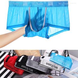 Underpants 5PCS Men Ice Silk Boxer Underwear Mens Sexy Transparent Shorts Soft Kilot Male Men's Cueca Homme Plus Size