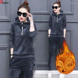 Women's Two Piece Pants Winter Thicken Velvet 2 Pieces Sets Hooded Sweatshirt Tops Tracksuit High Waist Harem Ankle Length Pant Suits Plush