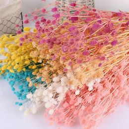 Decorative Flowers Natural Preserved Lover Fruits Bouquet Colourful Eternal Dry Flower Wedding Arrangement Party Home Table Decoration