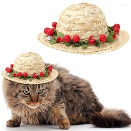 Dog Apparel Arrival 2024 Multicolor Pet Flower Berry Straw Hat Cat Mexican Sombrero Buckle Costume Drop