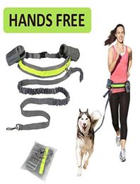 Pet Dog Leash Hands Cat Running Jogging Padded Waist Belt Reflective Strip Elastic Leash Perfect Walking Training Dog Leash S6306991