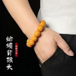 Link Bracelets Golden Toad Head Monkey Walnut Bracelet Natural Unrepaired Tyrant String Original Seed Single Circle Colle