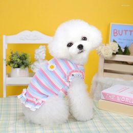 Dog Apparel Colour Striped Dog's Clothes Small Sweet Princess Dress Spring And Summer Cat Skirt Cute Flower Pattern Pretty Pet