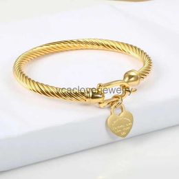 Titanium Steel Bangle Cable Wire Gold Love Heart Charm Bangle Bracelet With Hook Closure for Women Men Wedding Jewelry Gifts G2309045PE-3
